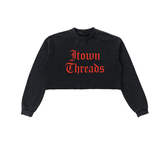Snow Washed Raw Edge Cropped Sweatshirt